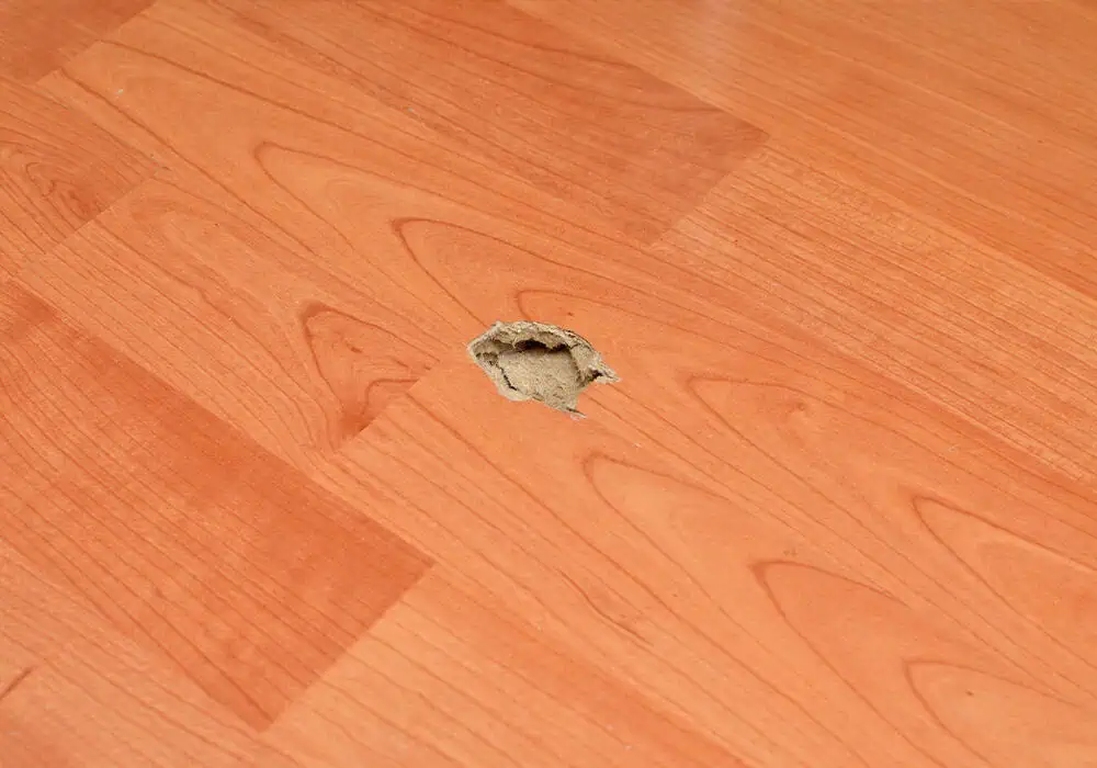 A section of damaged laminate flooring