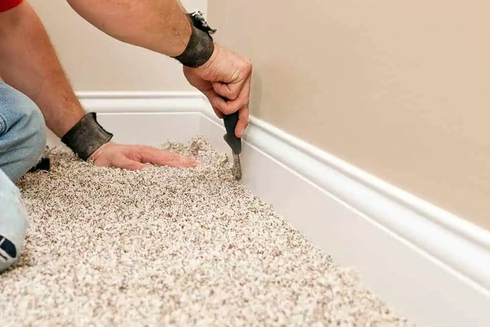 Carpet fitter using a carpet tucker to get a neat finish